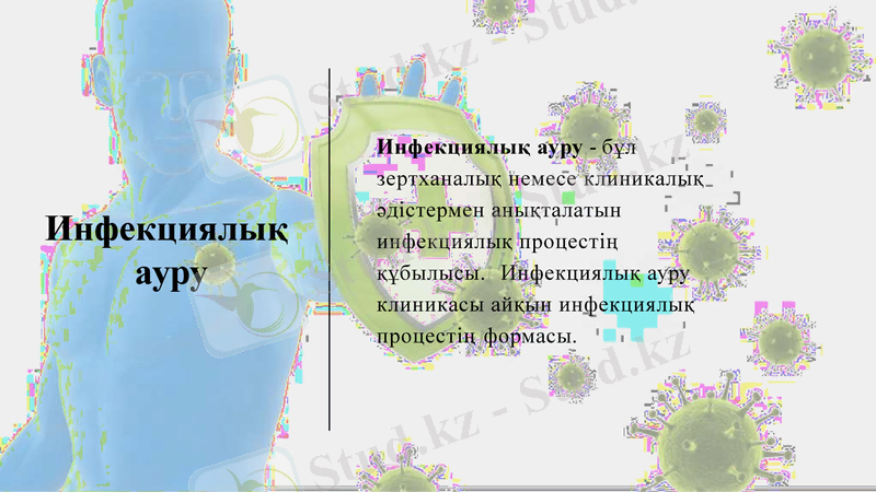 Slide 6
