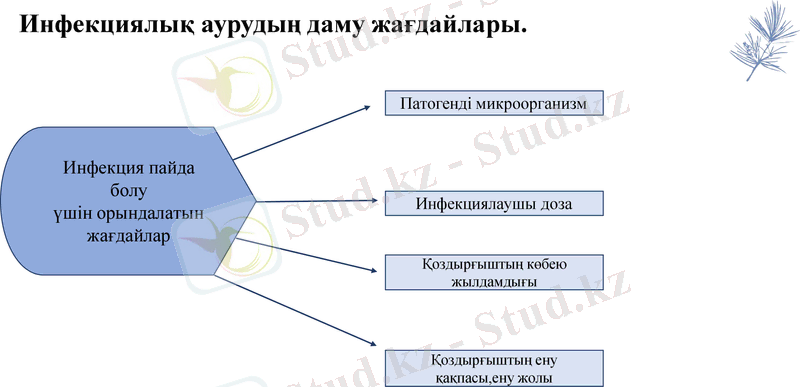 Slide 7