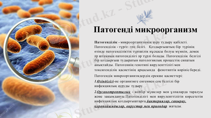 Slide 8