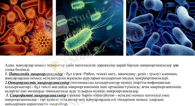 Slide 9