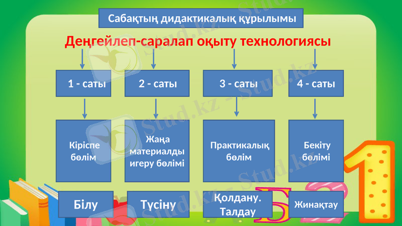 Slide 8