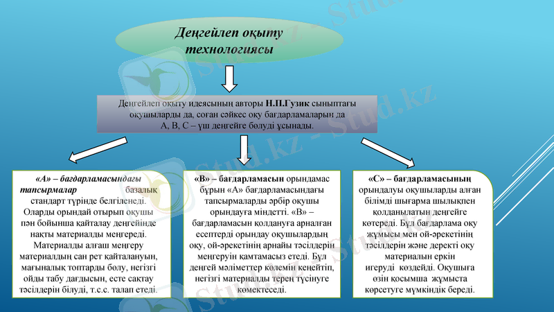 Slide 11