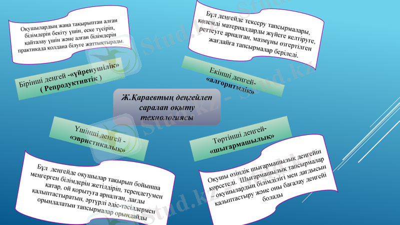 Slide 13