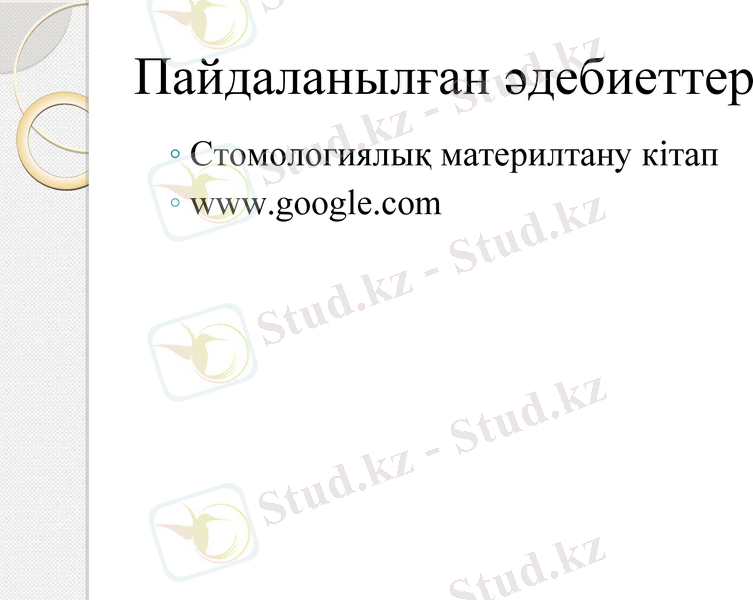Slide 13
