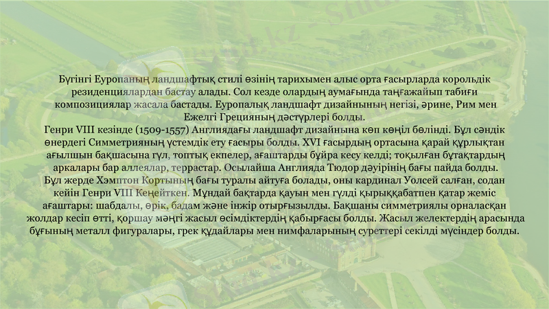 Slide 6