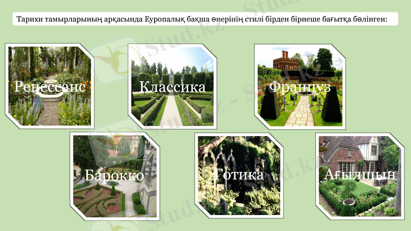Slide 8