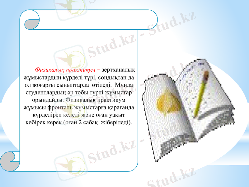 Slide 11