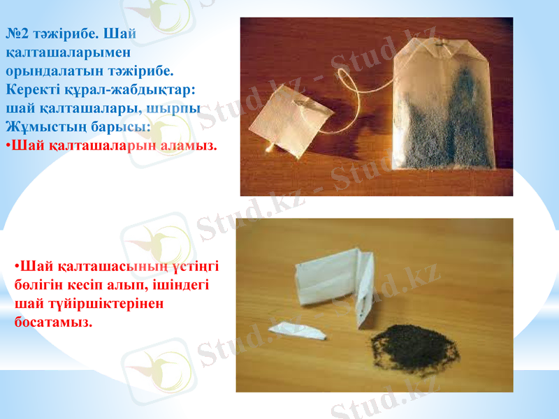 Slide 15