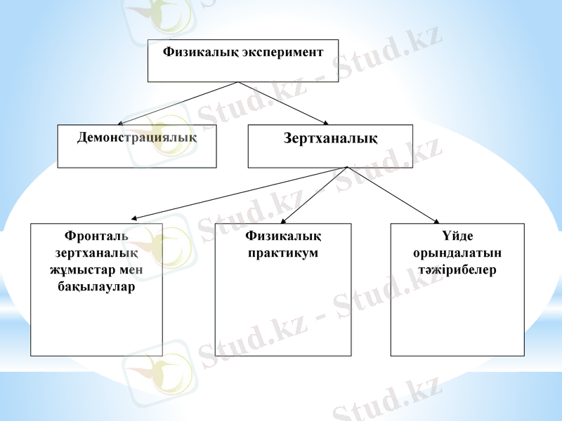 Slide 9