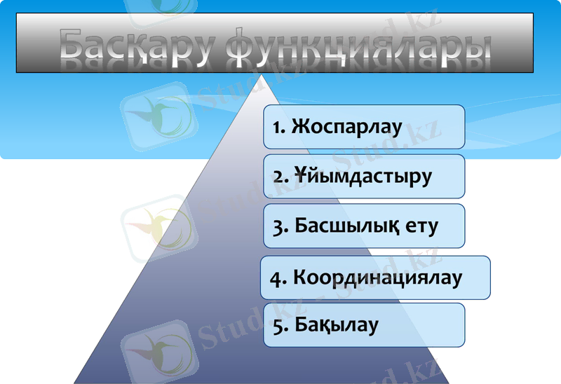 Slide 7