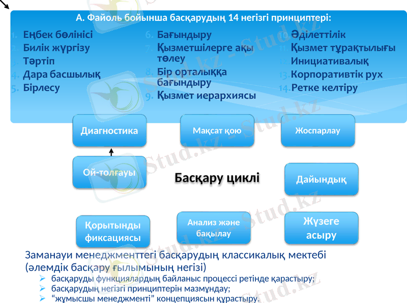 Slide 8