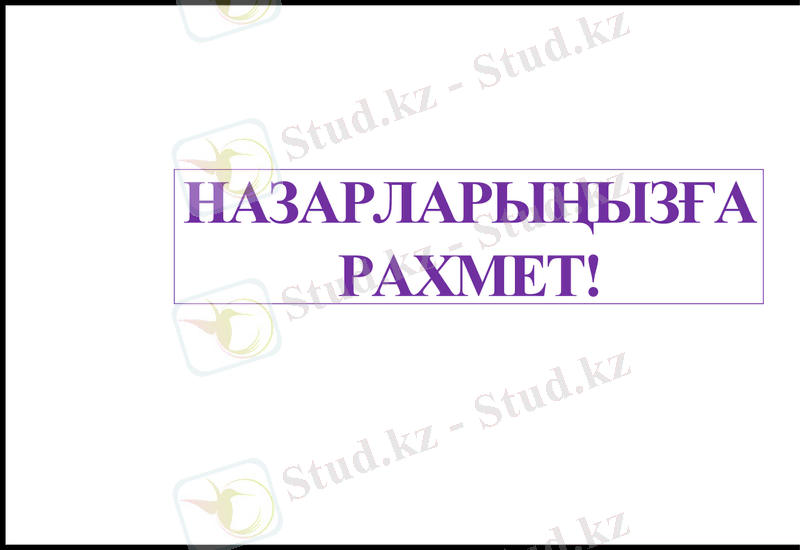 Slide 10