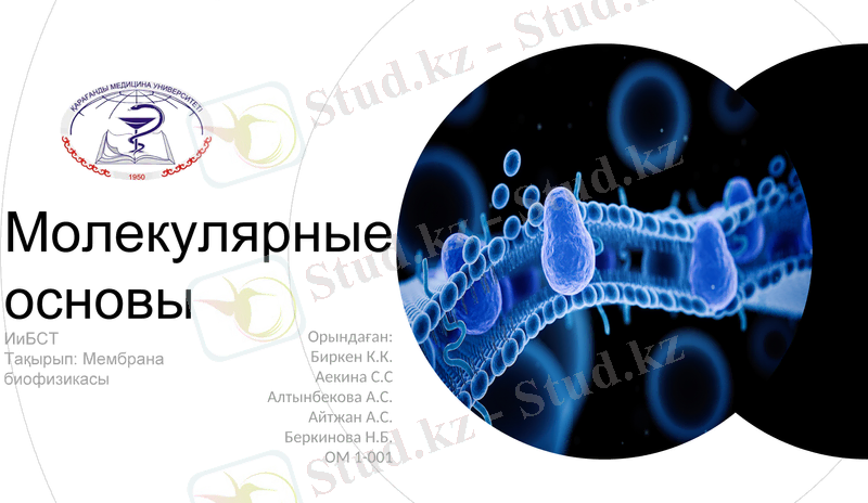 Slide 1