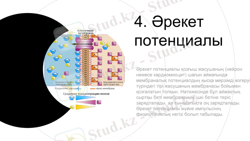 Slide 10