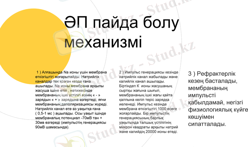 Slide 11