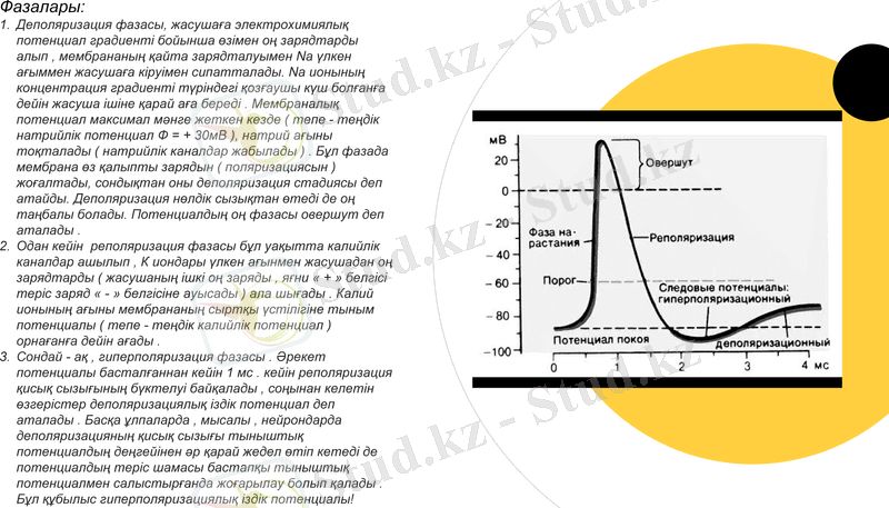 Slide 12