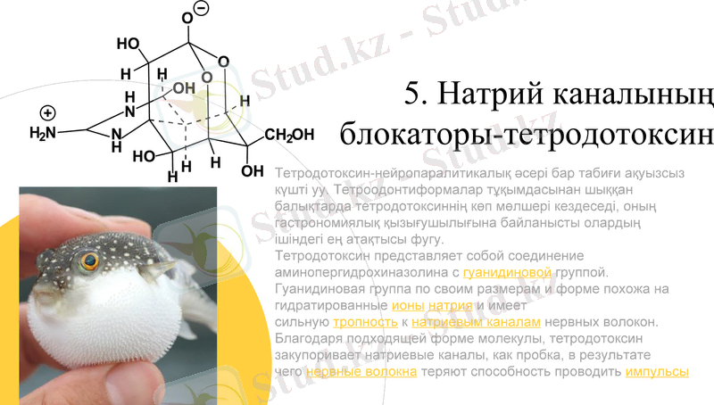 Slide 13