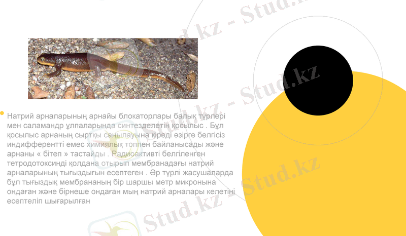 Slide 14