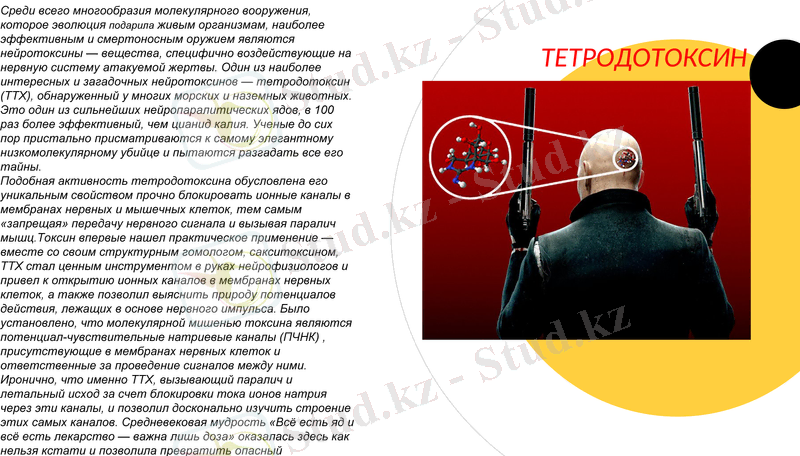Slide 15