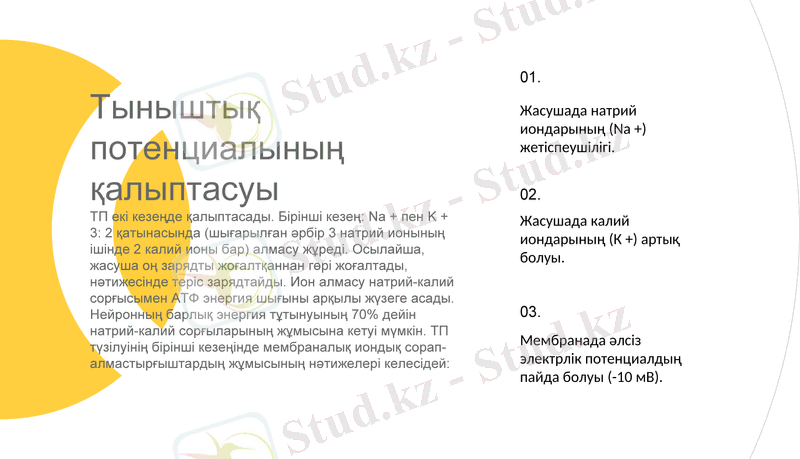 Slide 6