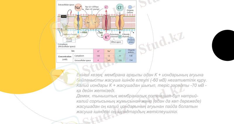 Slide 7