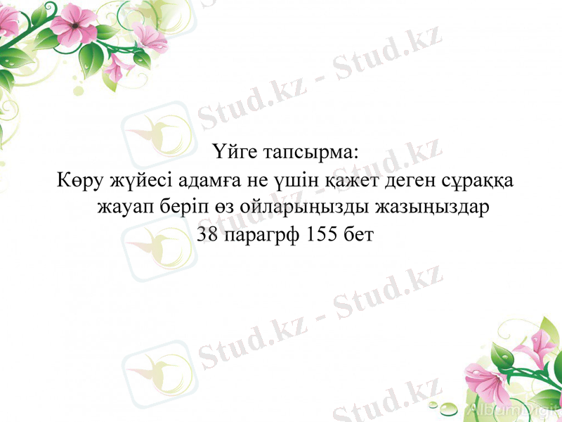 Slide 8