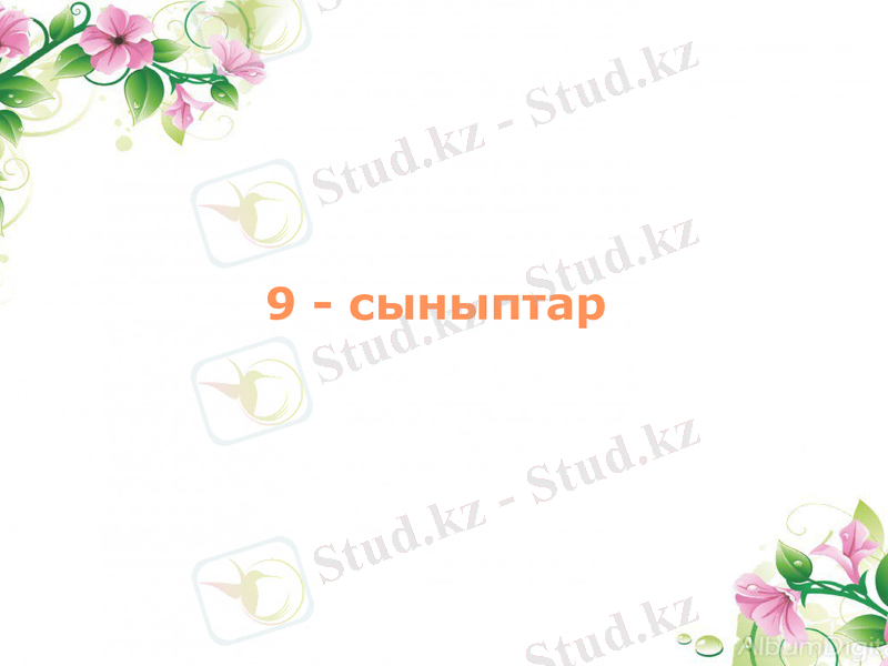 Slide 9