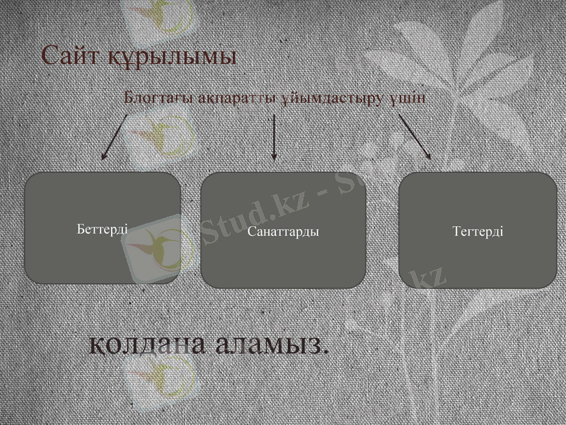 Slide 9