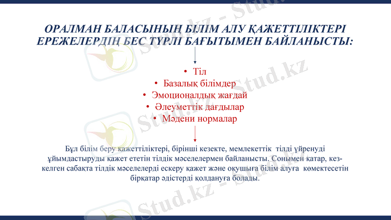 Slide 8