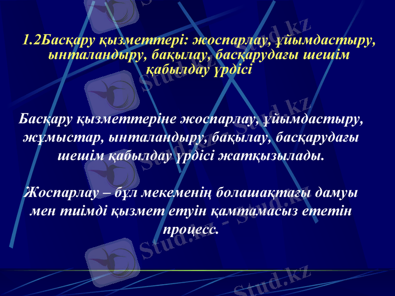 Slide 7