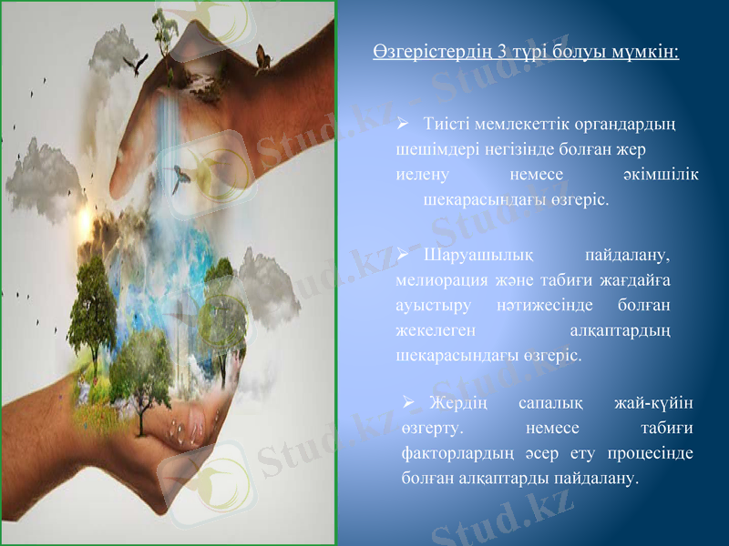 Slide 8