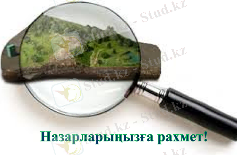 Slide 9