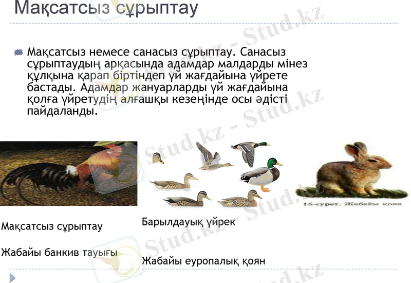 Slide 10