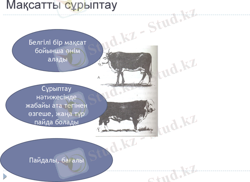 Slide 12