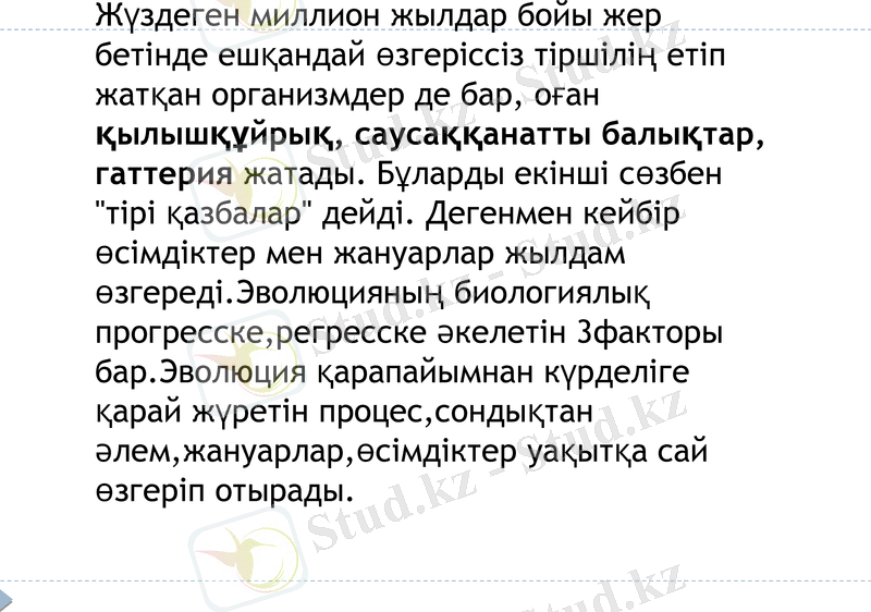 Slide 15