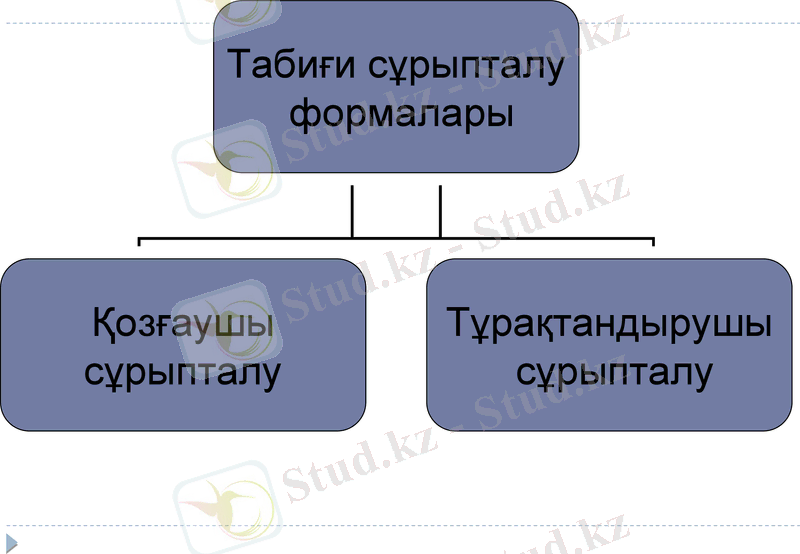 Slide 16
