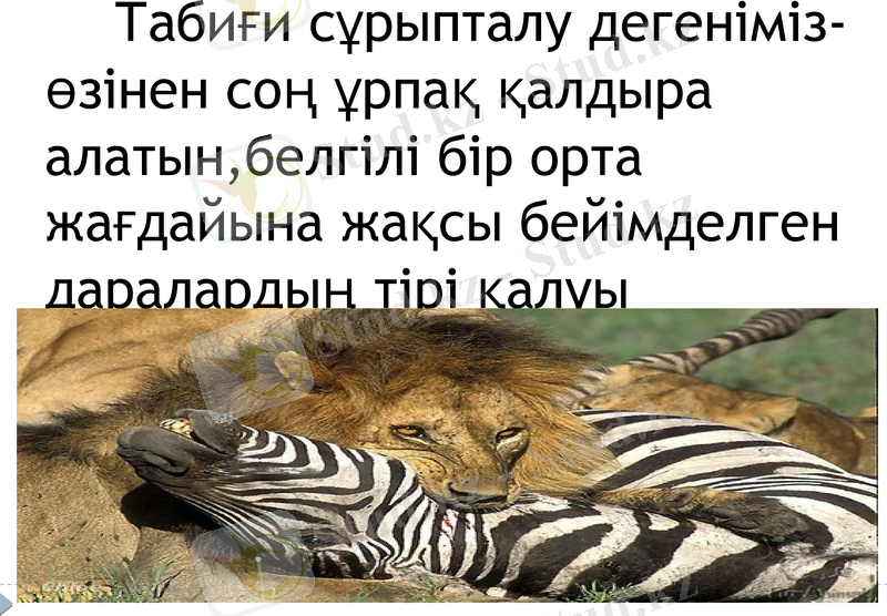 Slide 17
