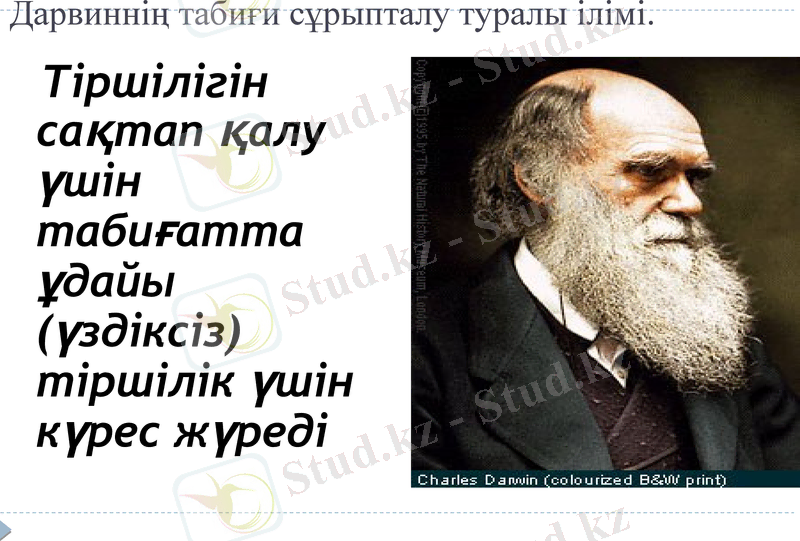 Slide 18