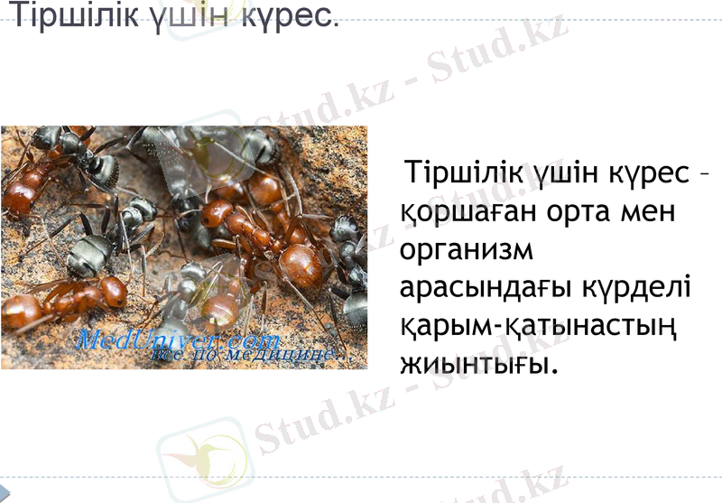 Slide 20