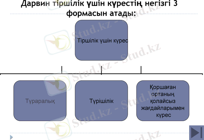 Slide 21