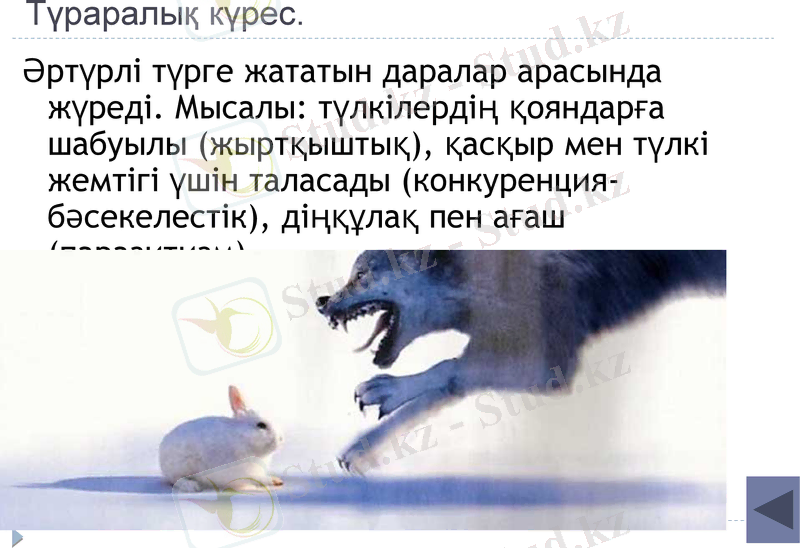 Slide 22