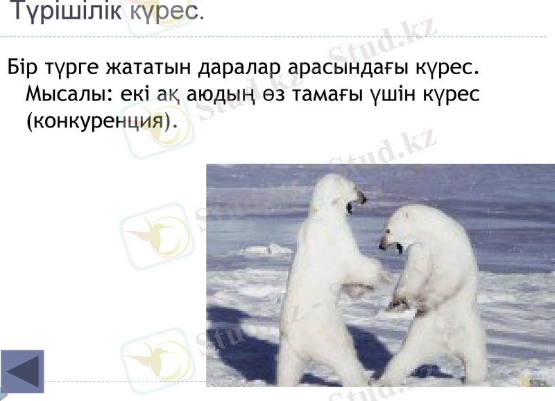 Slide 23