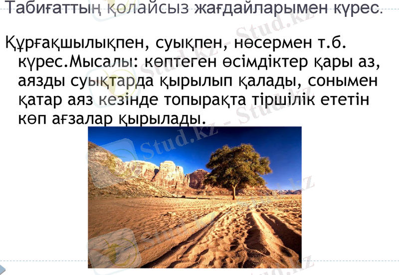 Slide 24