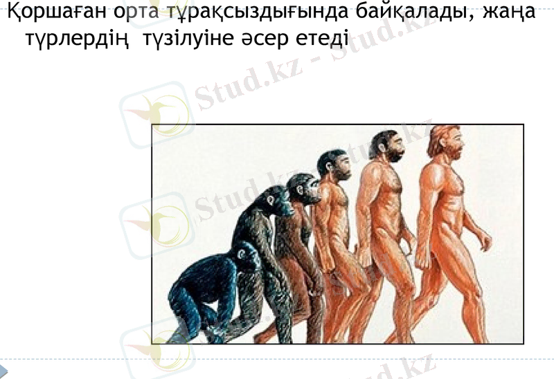 Slide 25