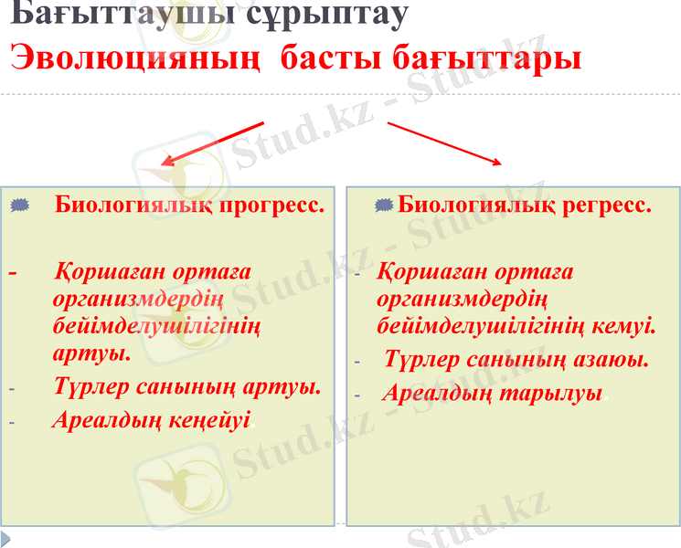 Slide 27