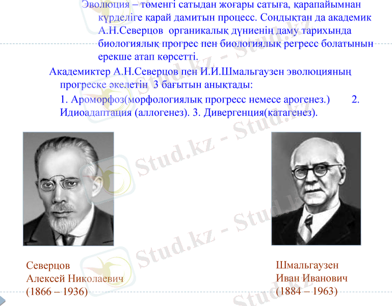 Slide 28