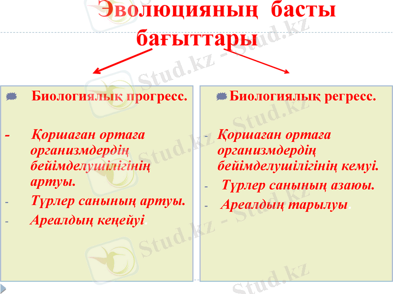 Slide 29