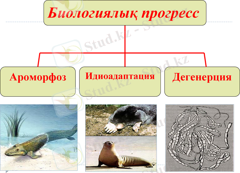Slide 30