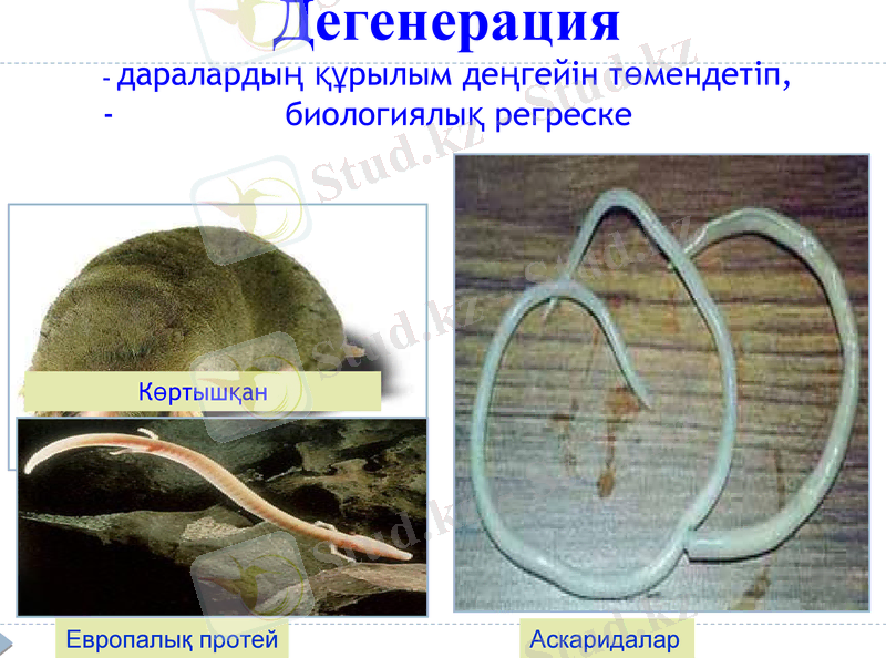 Slide 32