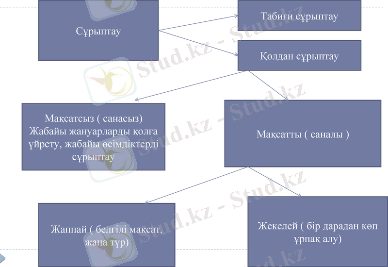 Slide 7